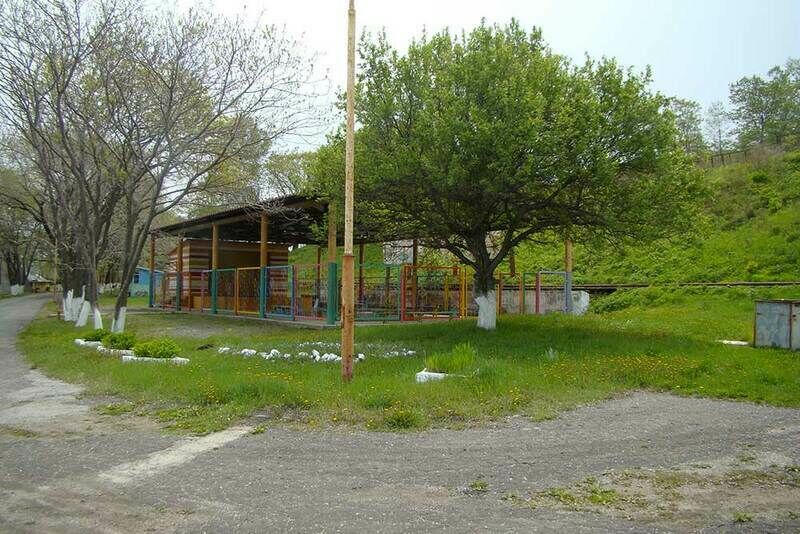 Лебединое озеро, Приморский край: фото 4