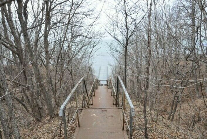 База отдыха «Энергетик» | Энергетик (Шамора), Приморский край