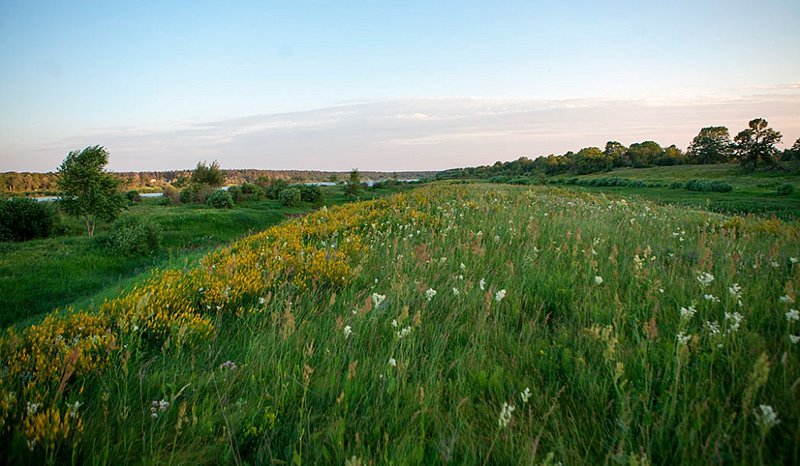 Травы | Дубки, Нижегородская область