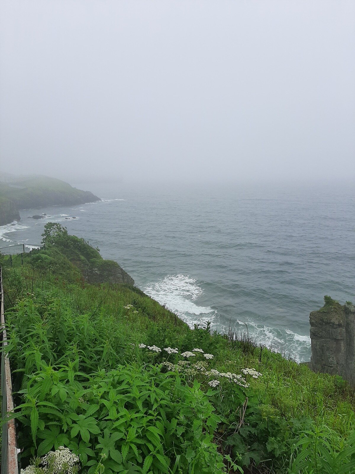 Фото 1 из отзыва о гостиничном комплексе Теплое море