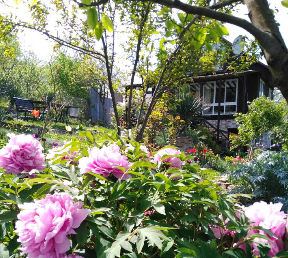 Каньон Псахо, Краснодарский край: фото 5