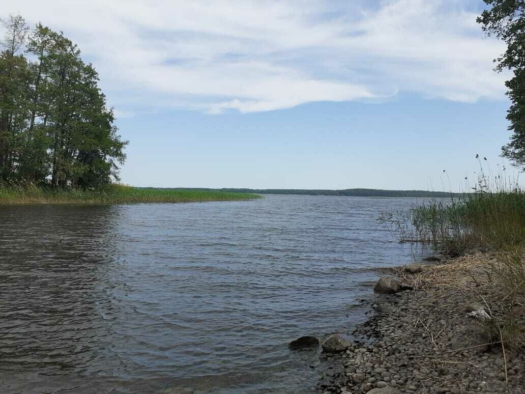 Фото 11 из отзыва о базе отдыха 7 пятниц