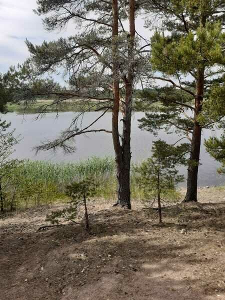 Фото 5 из отзыва о базе отдыха 7 пятниц