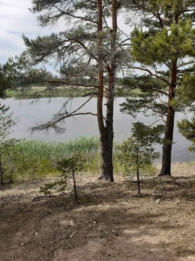 Фото 12 из отзыва о базе отдыха 7 пятниц