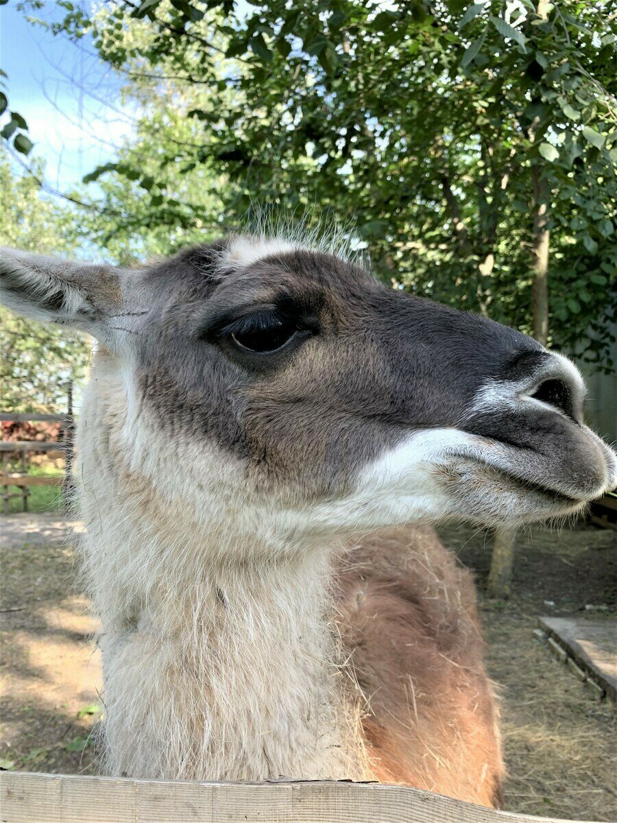 Фото 212 из отзыва о базе отдыха Донская Миля