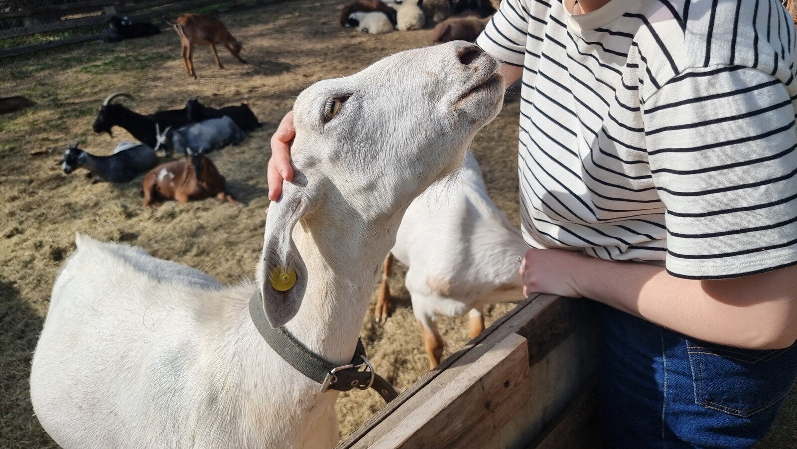 Фото 216 из отзыва о базе отдыха Донская Миля