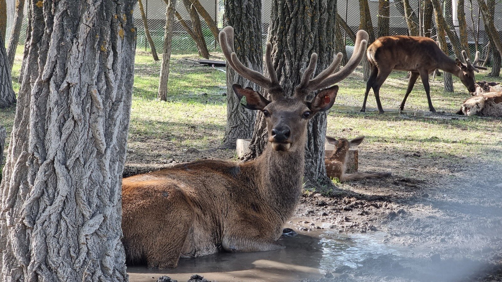 Фото 218 из отзыва о базе отдыха Донская Миля