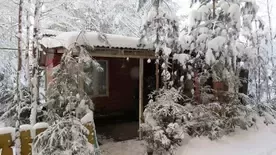 Коттедж малый «Бунгало Лесное», Гостевые дома Троица, Удомля