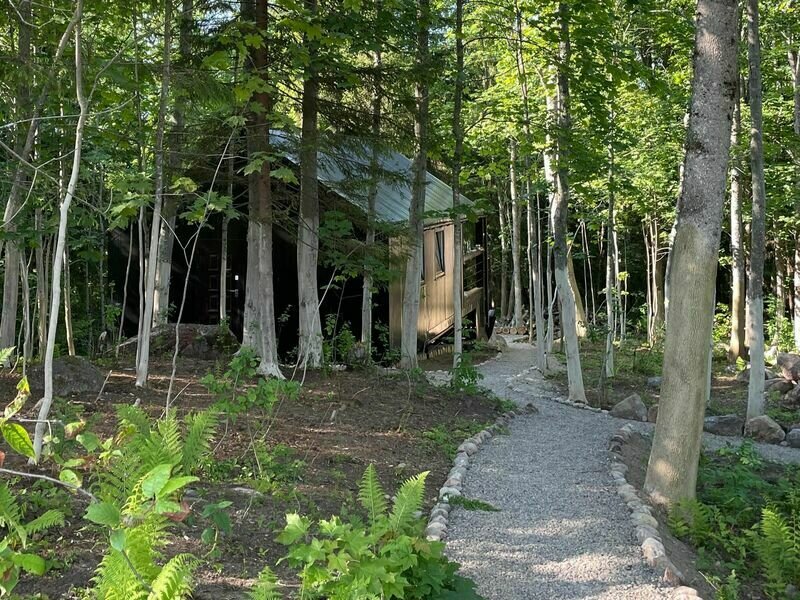 Лес и Гора, Ленинградская область: фото 5