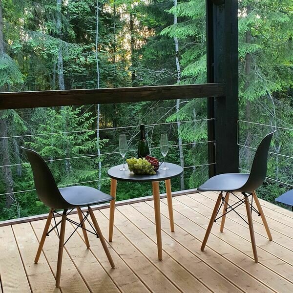 Лес и Гора, Ленинградская область: фото 4