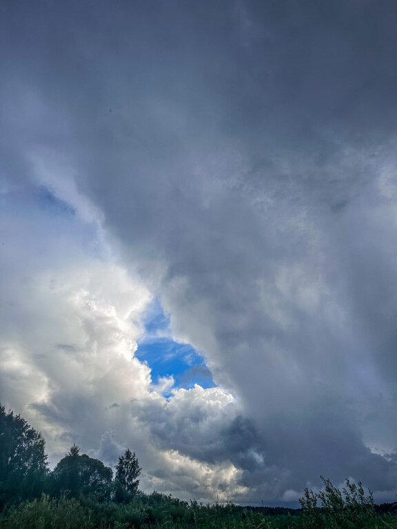 Фото из отзыва от 07.07.2023