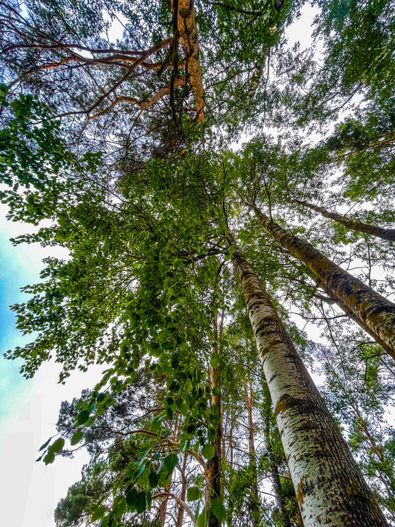 Фото из отзыва от 07.07.2023