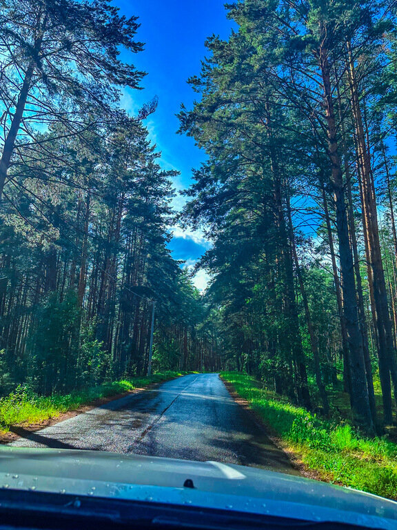 Фото из отзыва от 07.07.2023