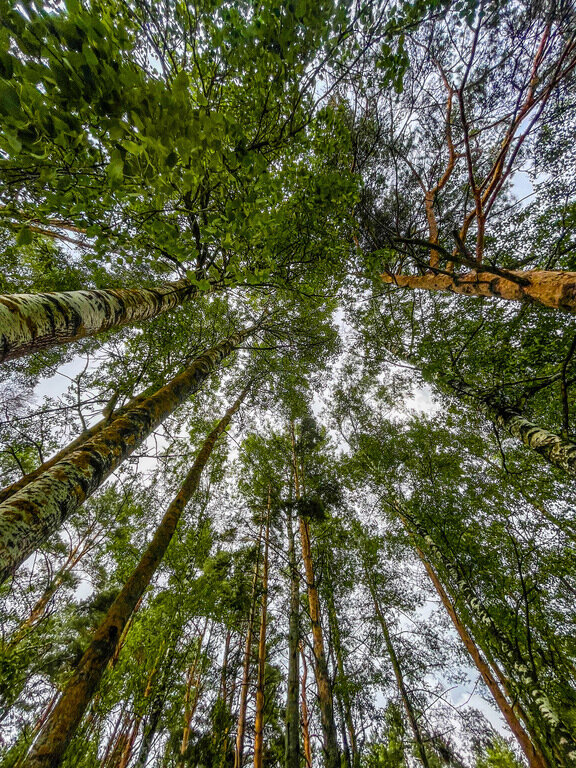 Фото из отзыва от 07.07.2023