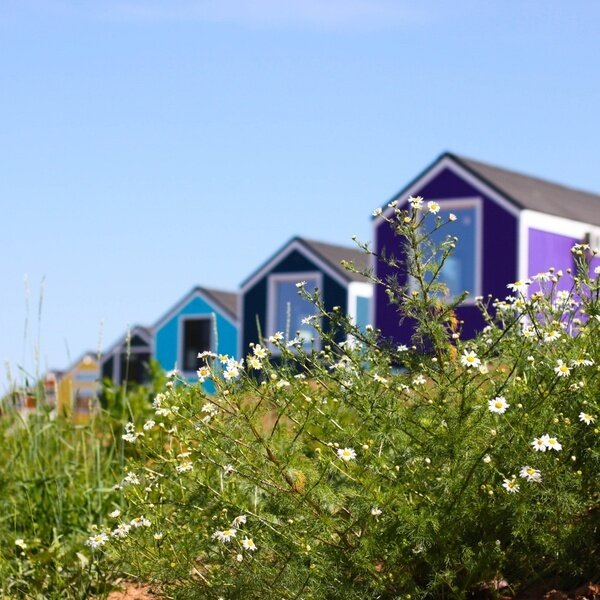 Лисья Гора, Новгородская область: фото 3