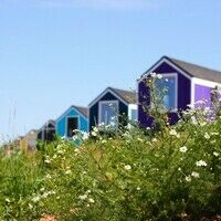 Голубой домик на Лисьей Горе, Кемпинг Лисья Гора, Великий Новгород