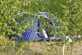 Место под палатку, Кемпинг Лисья Гора, Великий Новгород