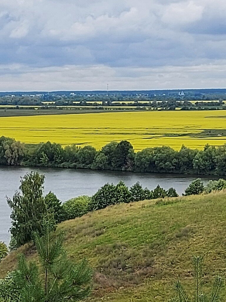 Фото из отзыва от 10.07.2023