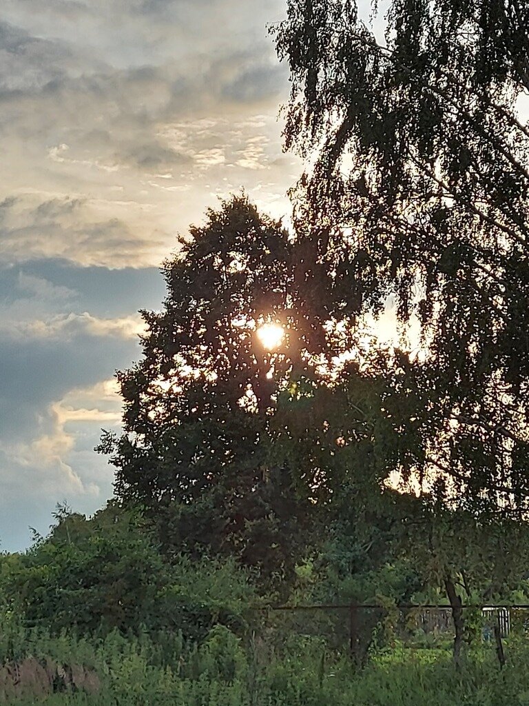 Фото из отзыва от 10.07.2023