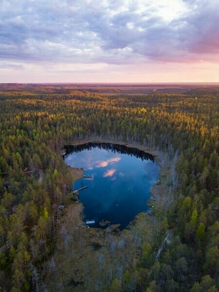 Forest Lake, Ленинградская область: фото 3