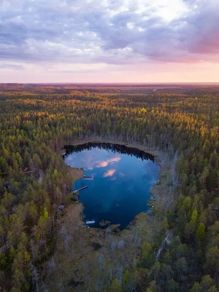 Forest Lake, Ленинградская область: фото 3