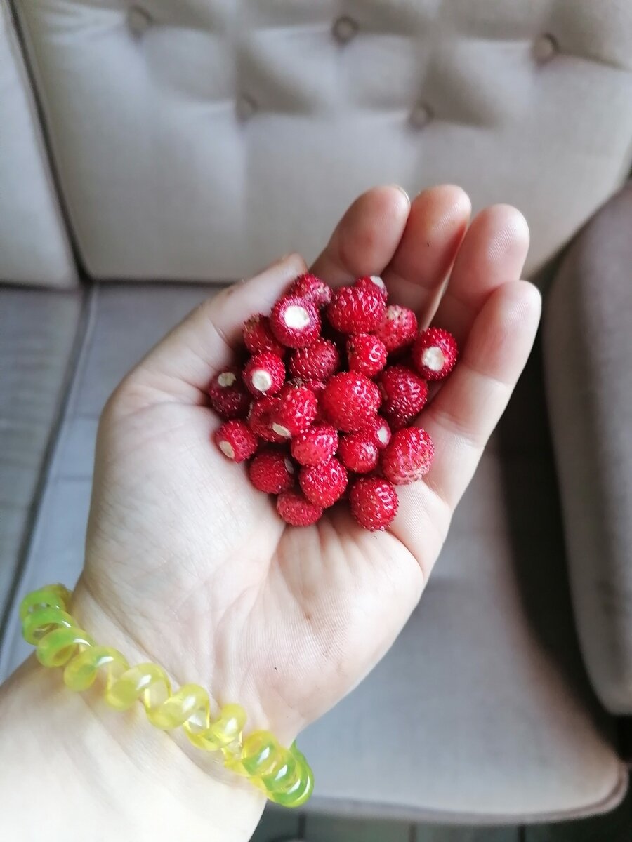 Фото 23 из отзыва о гостевом доме Хутор у залива