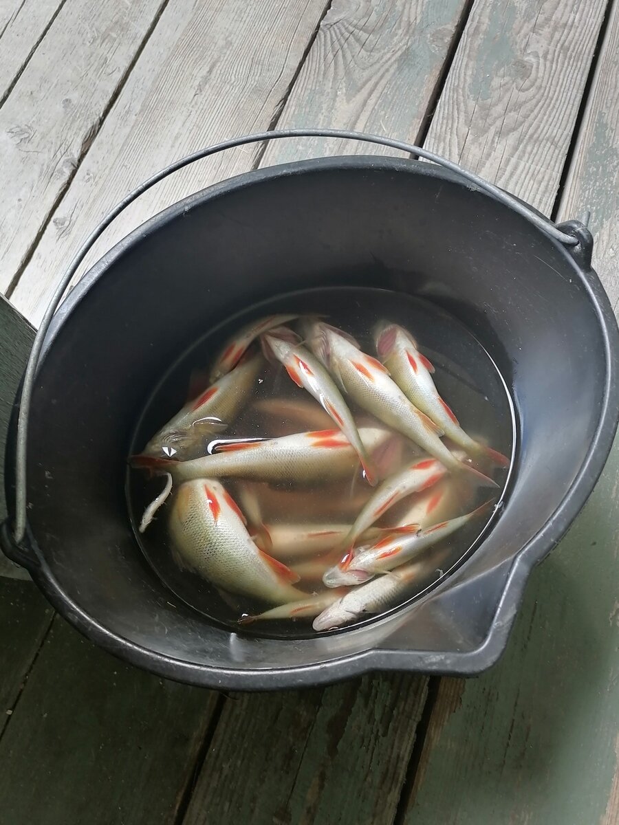 Фото 27 из отзыва о гостевом доме Хутор у залива