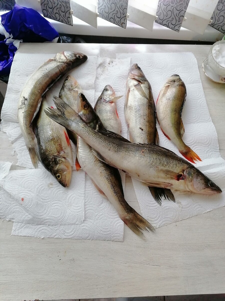 Фото 31 из отзыва о гостевом доме Хутор у залива