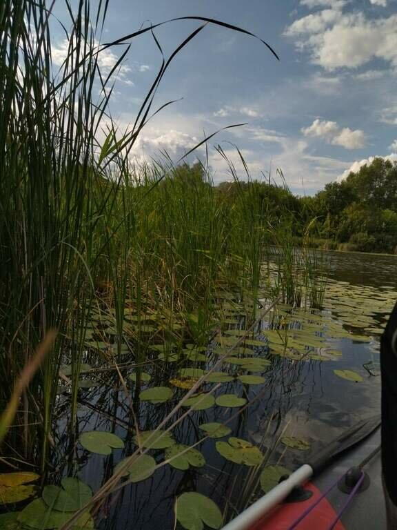 Фото из отзыва от 20.07.2023