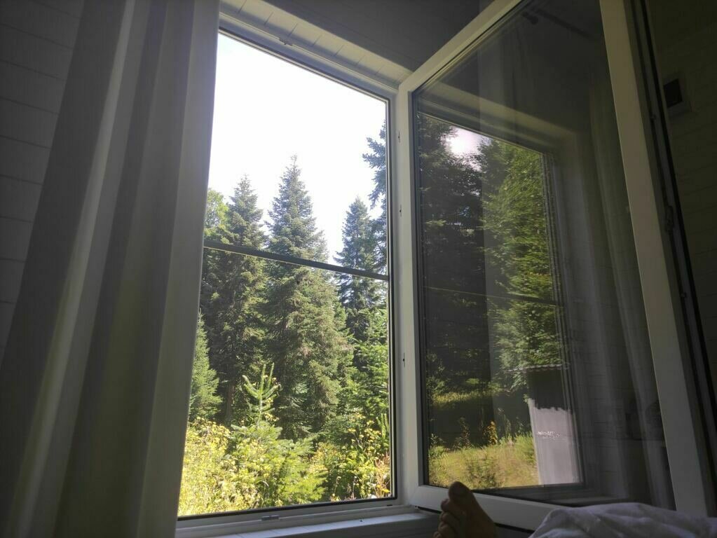 Фото из отзыва от 13.07.2023