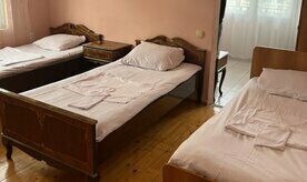 Эконом 3-мест 1-ком б/удоб, Гостевой дом Пальма-А, Гагра