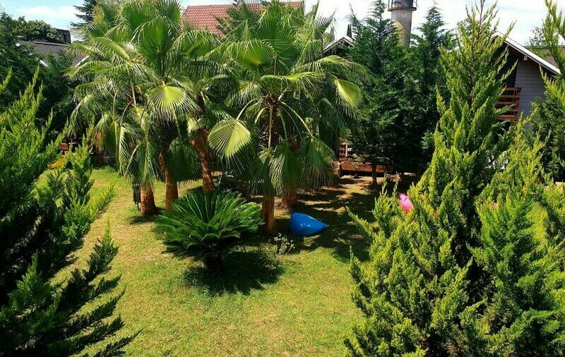 Happy Land | Happy Land, Гагрский район