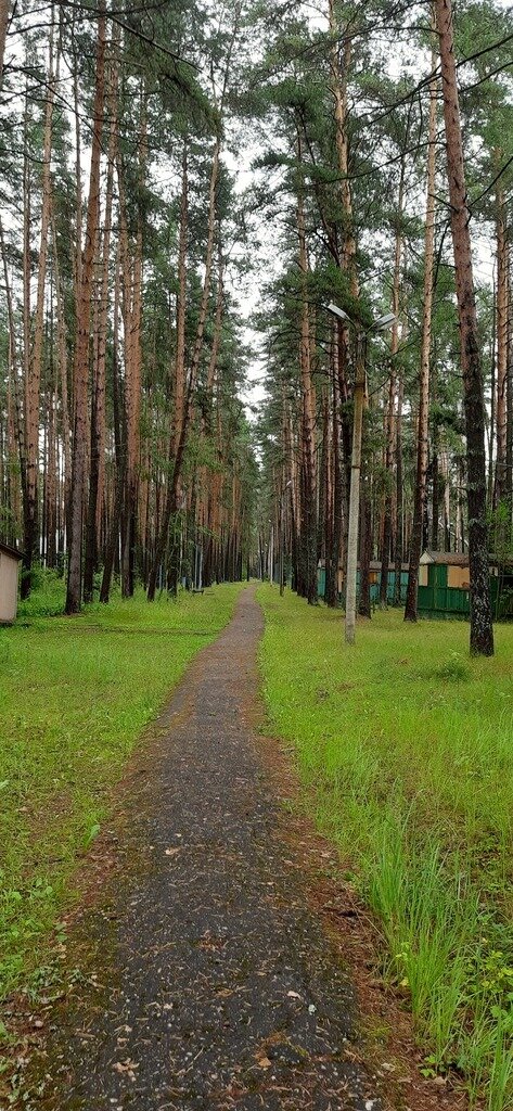 Фото из отзыва от 16.07.2023