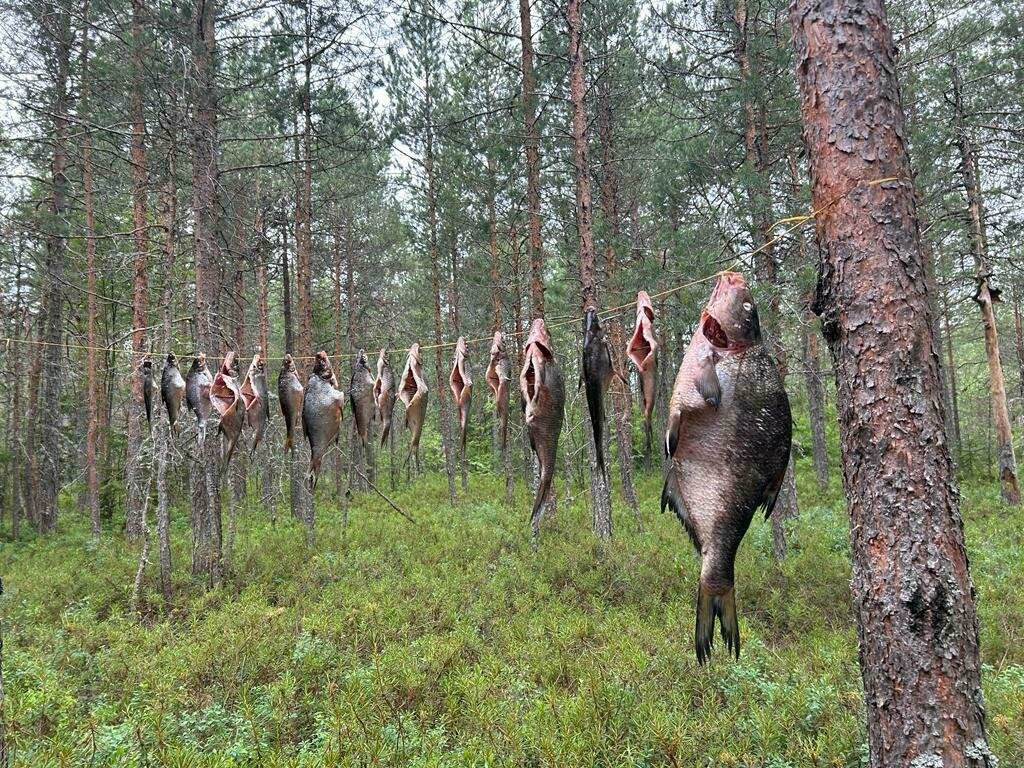 Фото 12 из отзыва о частном доме Ильинка в Карелии