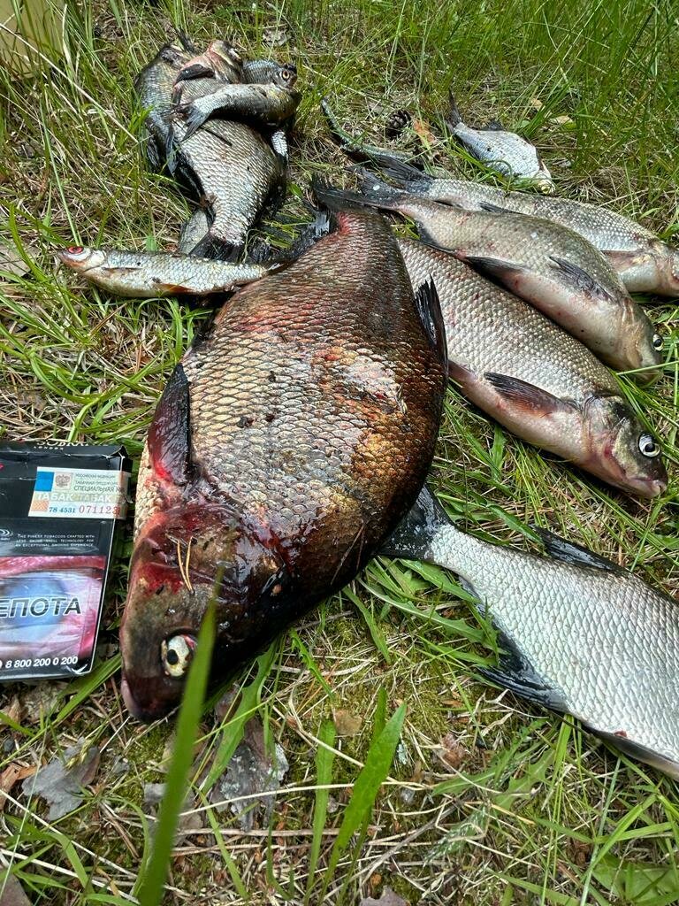 Фото 16 из отзыва о частном доме Ильинка в Карелии