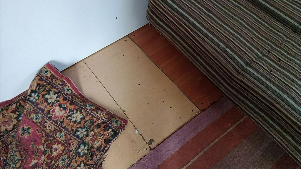 Фото из отзыва от 19.07.2023