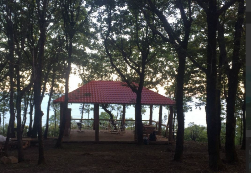 Горизонт, Краснодарский край: фото 5