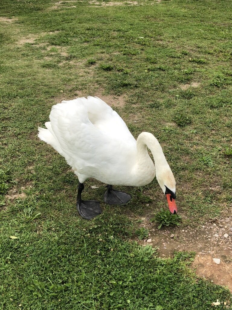 Фото из отзыва от 20.07.2023