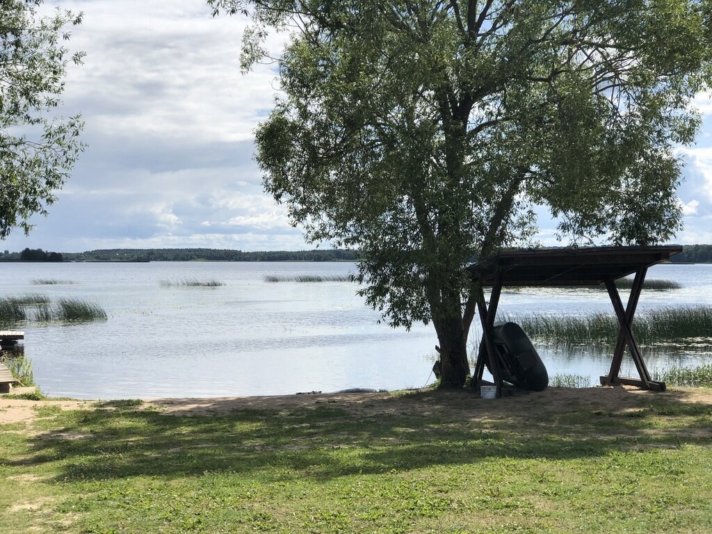 Фото из отзыва от 20.07.2023