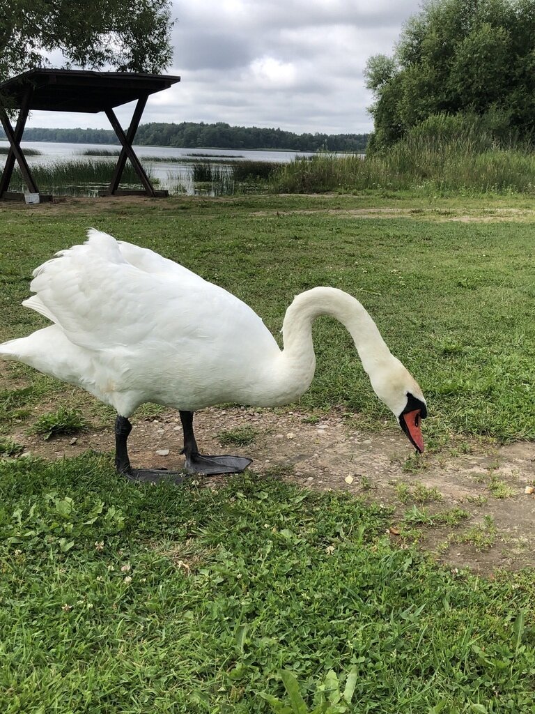 Фото из отзыва от 20.07.2023