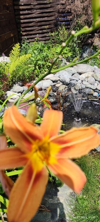 Фото из отзыва от 19.07.2023