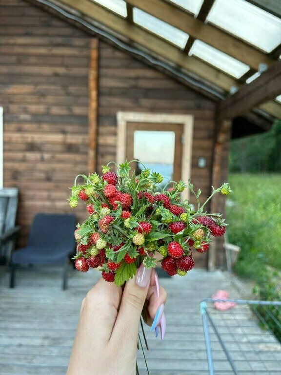 Фото из отзыва от 17.07.2023