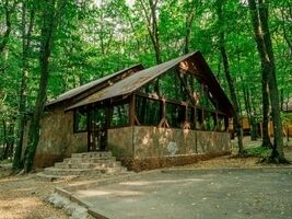 VIP Дом №1, База отдыха Лесное озеро, Верхнерусское