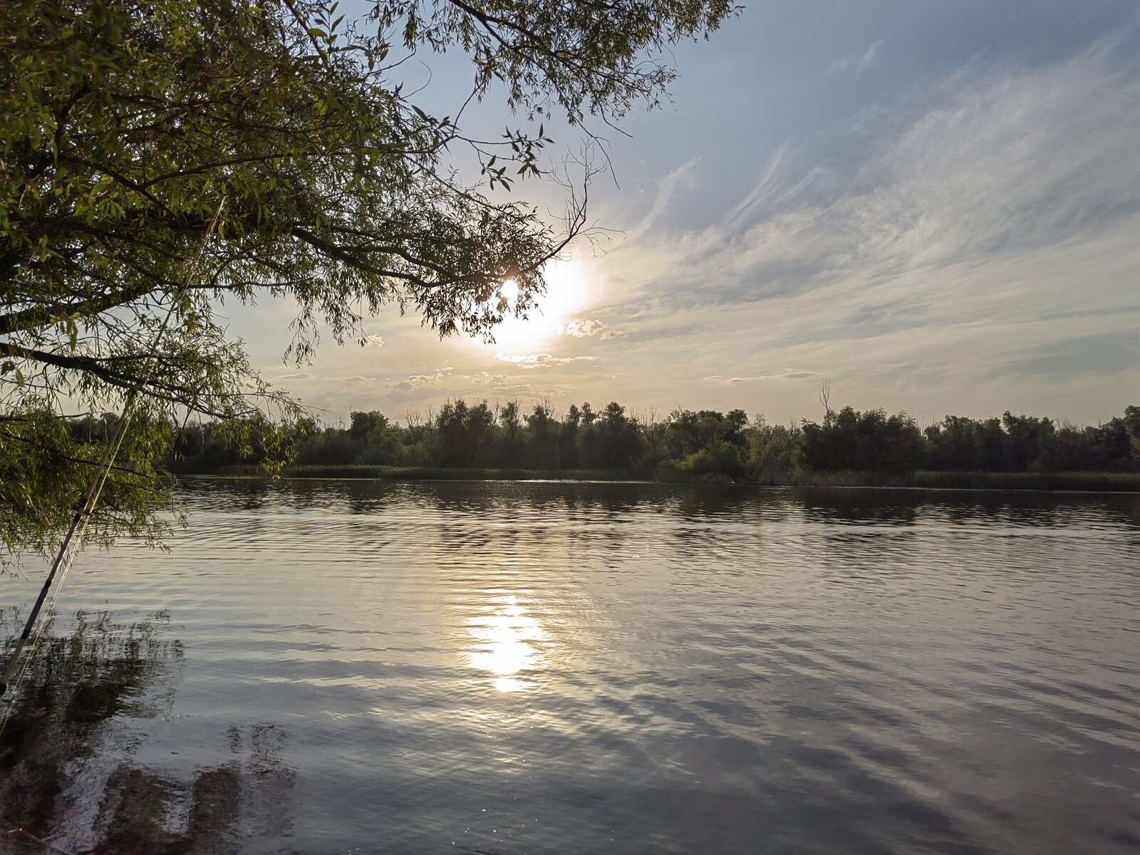 Фото 205 из отзыва о базе отдыха Донская Миля