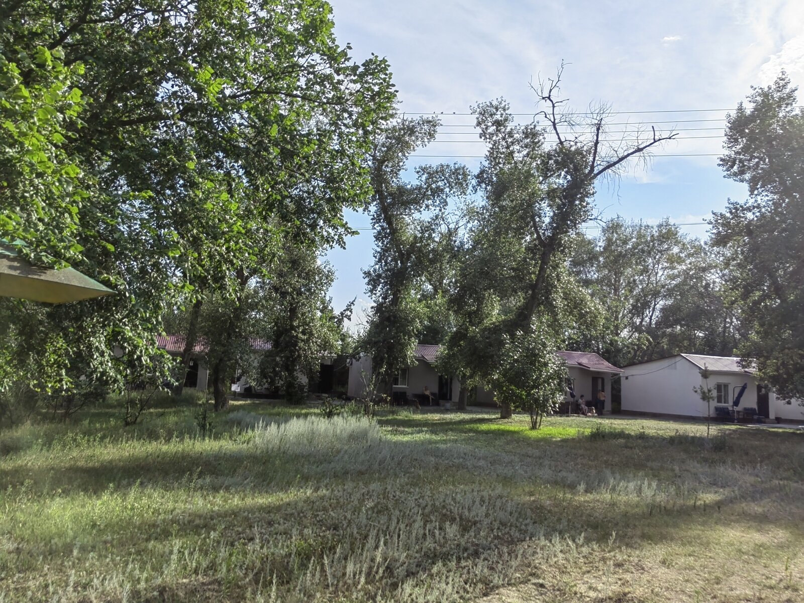 Фото 206 из отзыва о базе отдыха Донская Миля