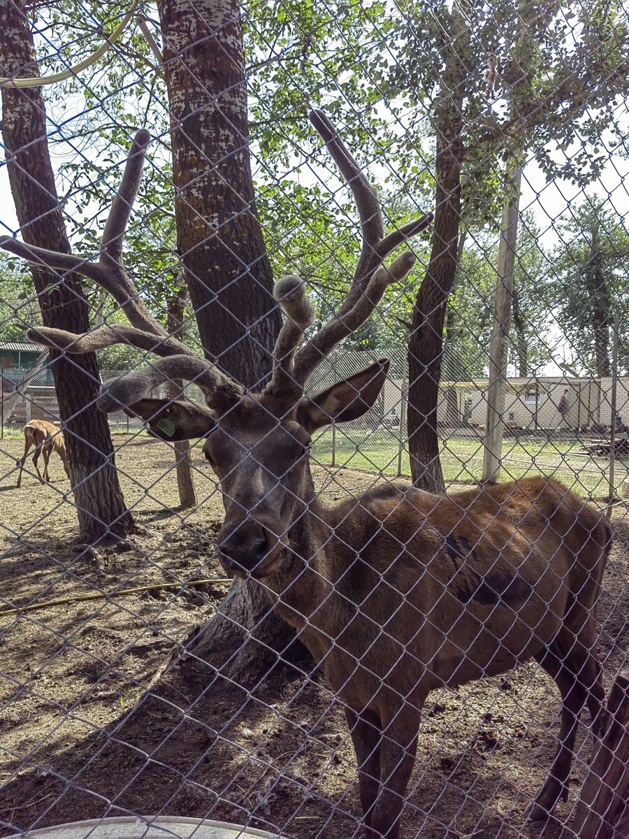 Фото 208 из отзыва о базе отдыха Донская Миля