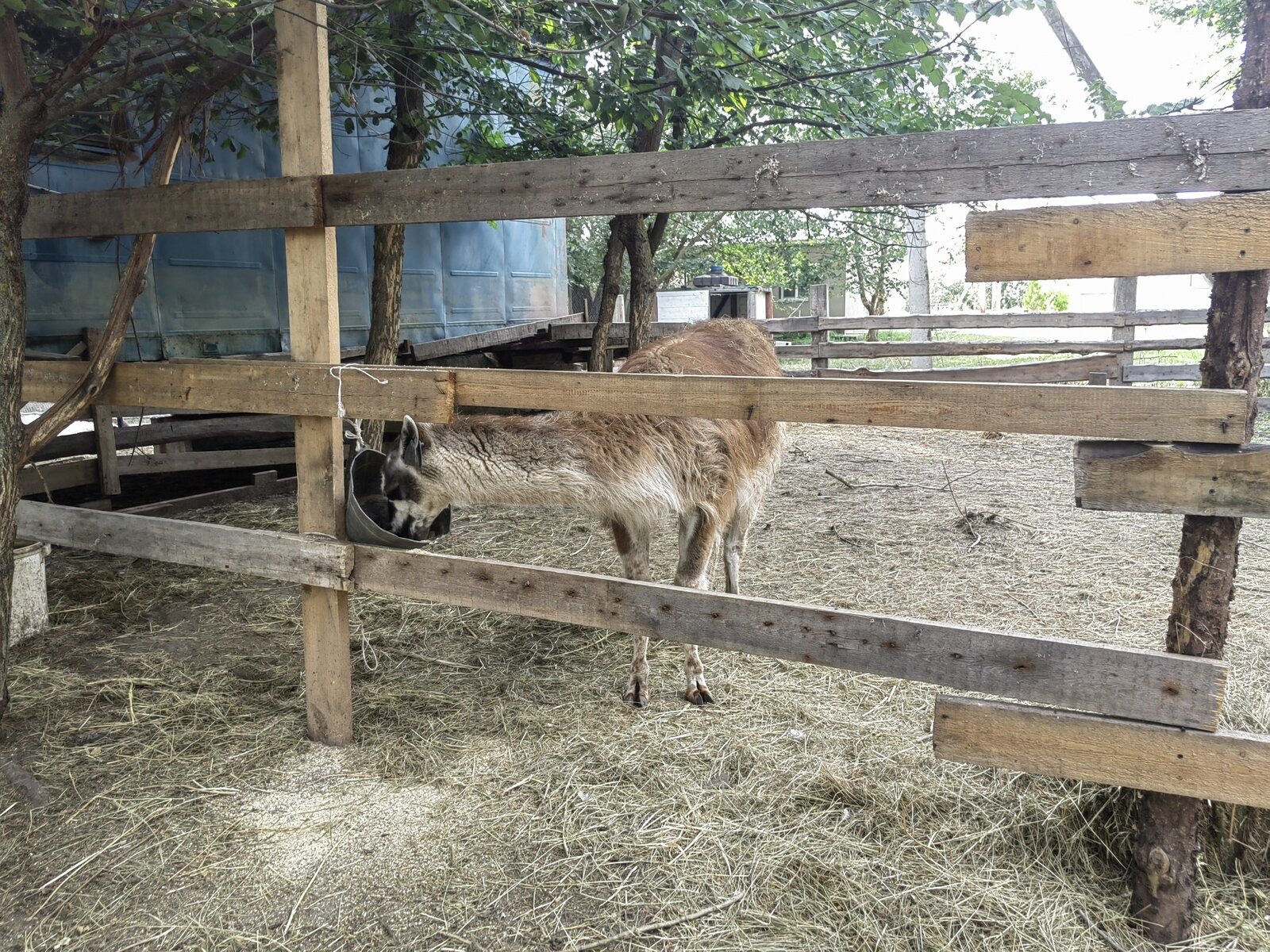 Фото 203 из отзыва о базе отдыха Донская Миля