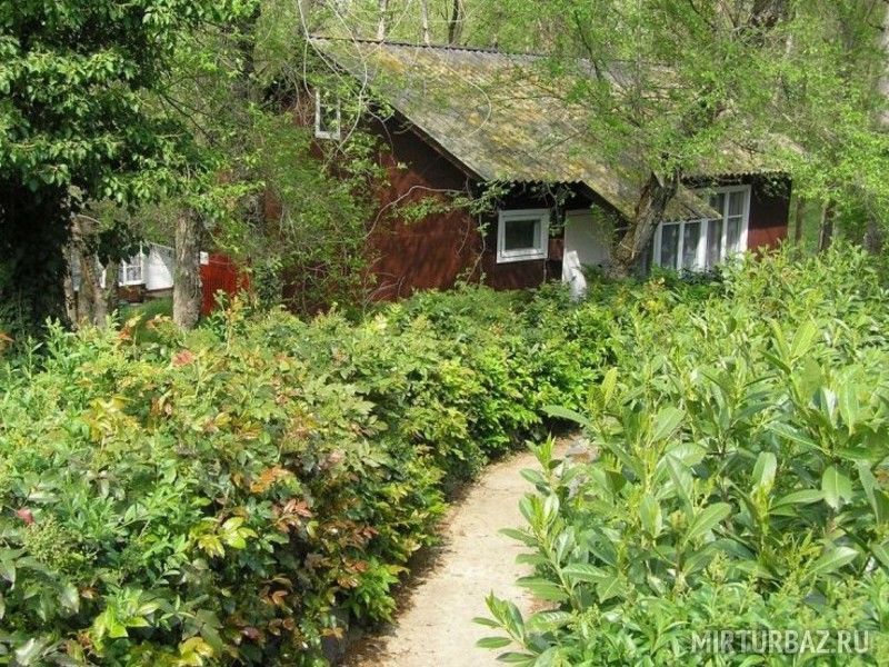 База отдыха «Магарач» | Магарач, Крым