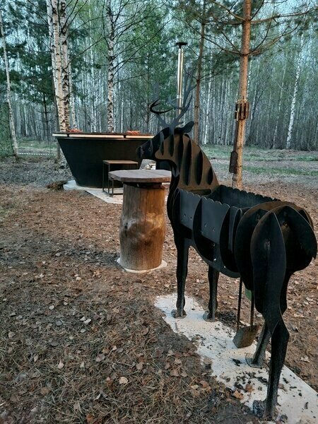 Дача на Рыбинском МОРЕ, Ярославская область: фото 5