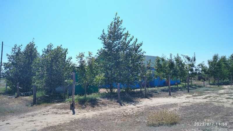 Удачное место, Астраханская область: фото 2